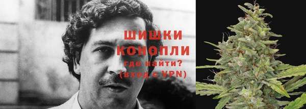 ГАЛЛЮЦИНОГЕННЫЕ ГРИБЫ Алексин