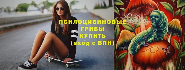 дмт Нягань