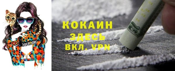 стафф Абинск