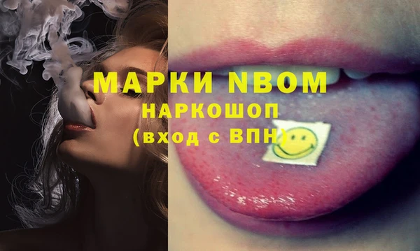 крисы Алзамай