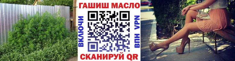 blacksprut как войти  Кохма  ТГК вейп с тгк  где продают  