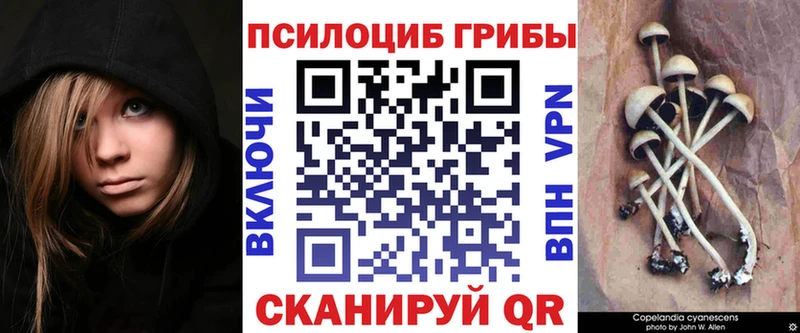 Псилоцибиновые грибы GOLDEN TEACHER  kraken ONION  Кохма 