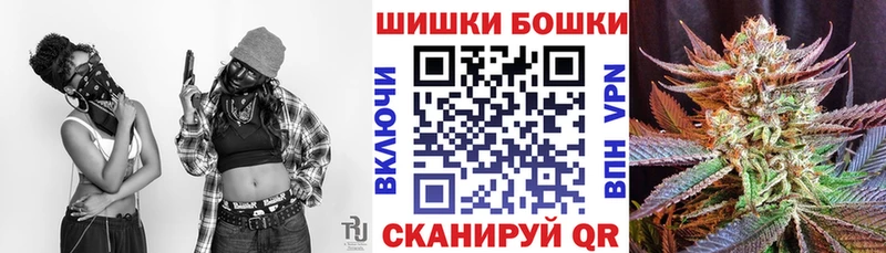 Бошки марихуана сатива Кохма