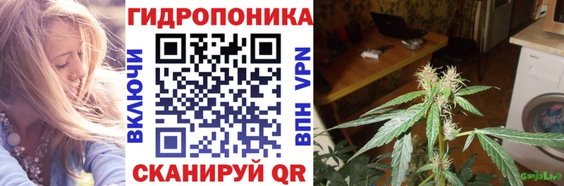 omg онион  Кохма  Бошки марихуана Amnesia 